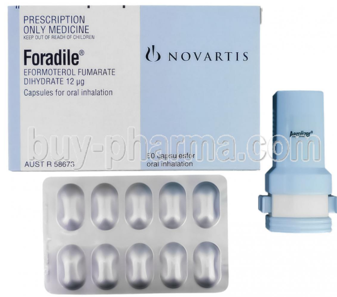 Long-acting beta2 agonist(LABA) inhaler, 스트리버디, 온브리즈, 포라딜, 세레벤트 /COPD ...