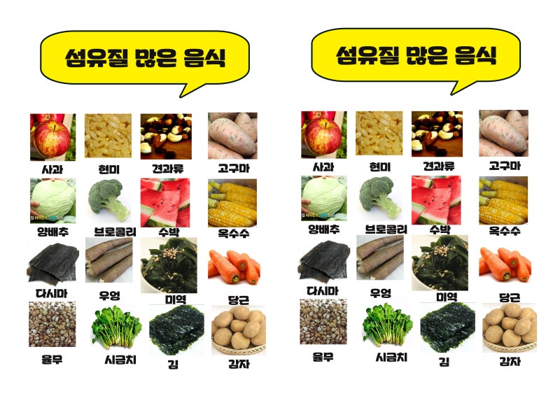 식이섬유가 많은 음식 차전자피 분말 리뉴얼 랩