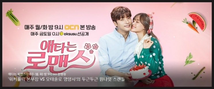  {한드} 애타는 로맨스 (2017)