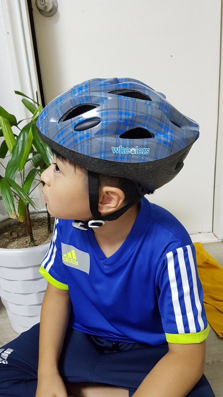  휠러스 쥬니어3  어린이 자전거 헬멧 특가로 구매 ㅋ
