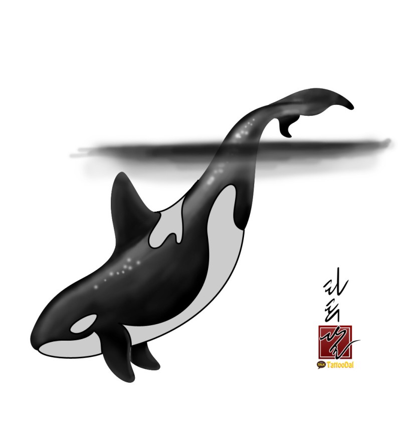 타투도안 : 범고래 문신도안 입니다. 건대타투 타투달 : 네이버 블로그