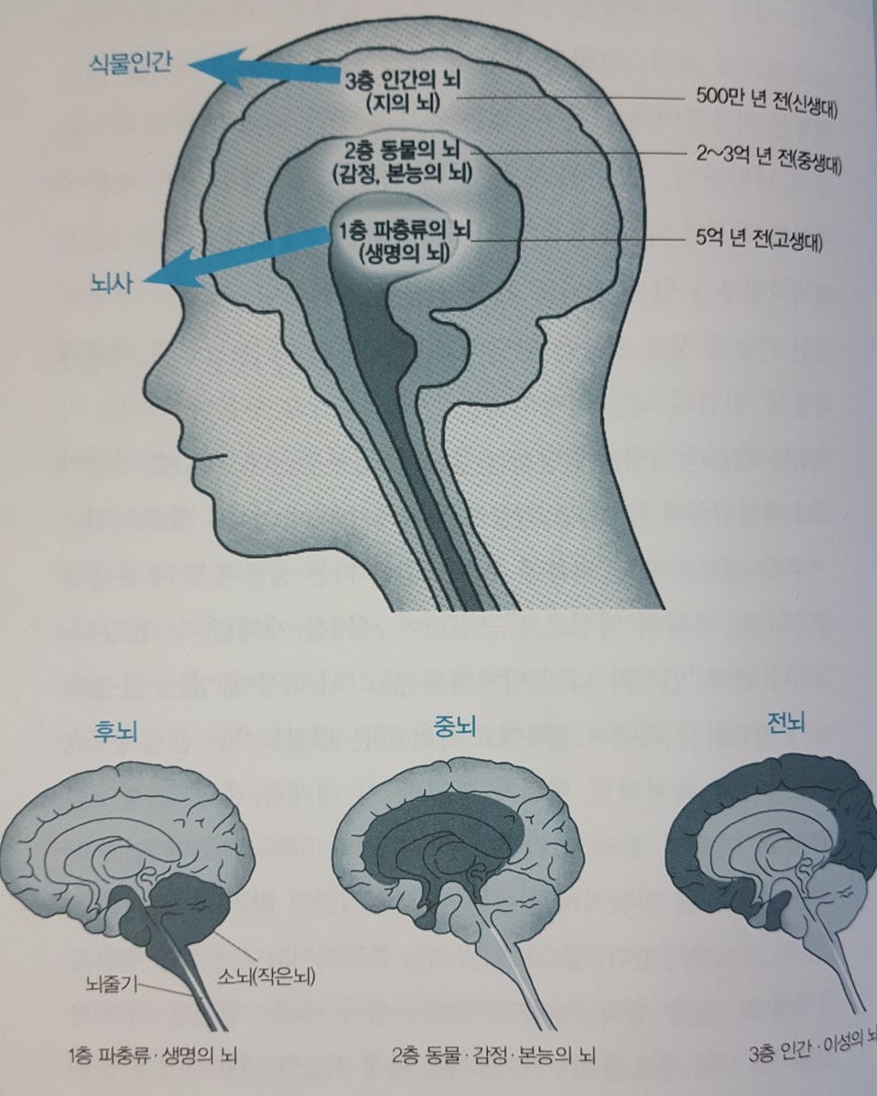 전상욱 (@nangman_sangwook) • Instagram photos and videos, image size:800x999
