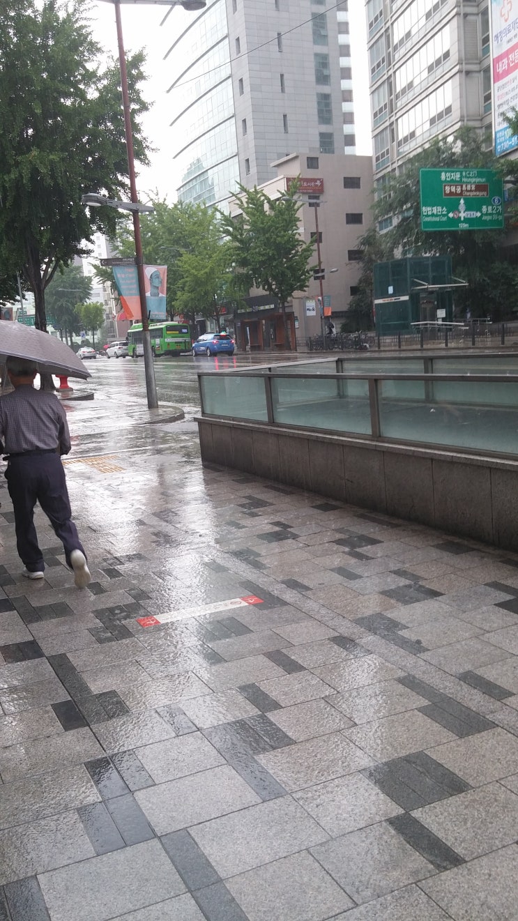  출근길 단비