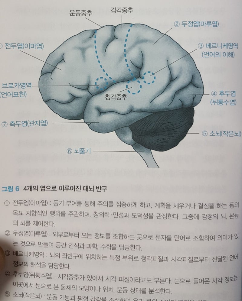 연필로사과그림 | TikTok, image size:800x996