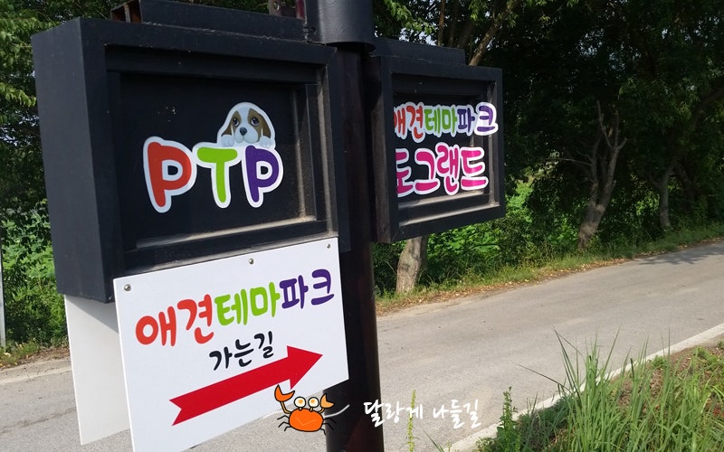 PTP 애견테마파크 — 익산시