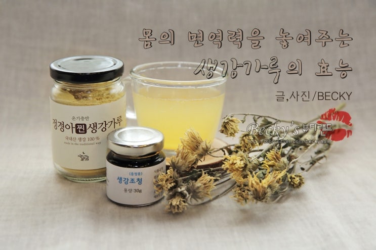  지리산 농부들 정경아 찐 생강가루 효능