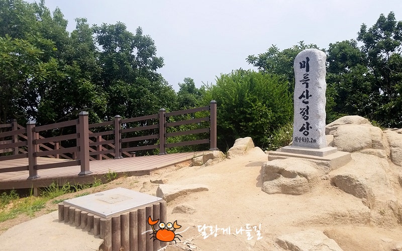 사진 2