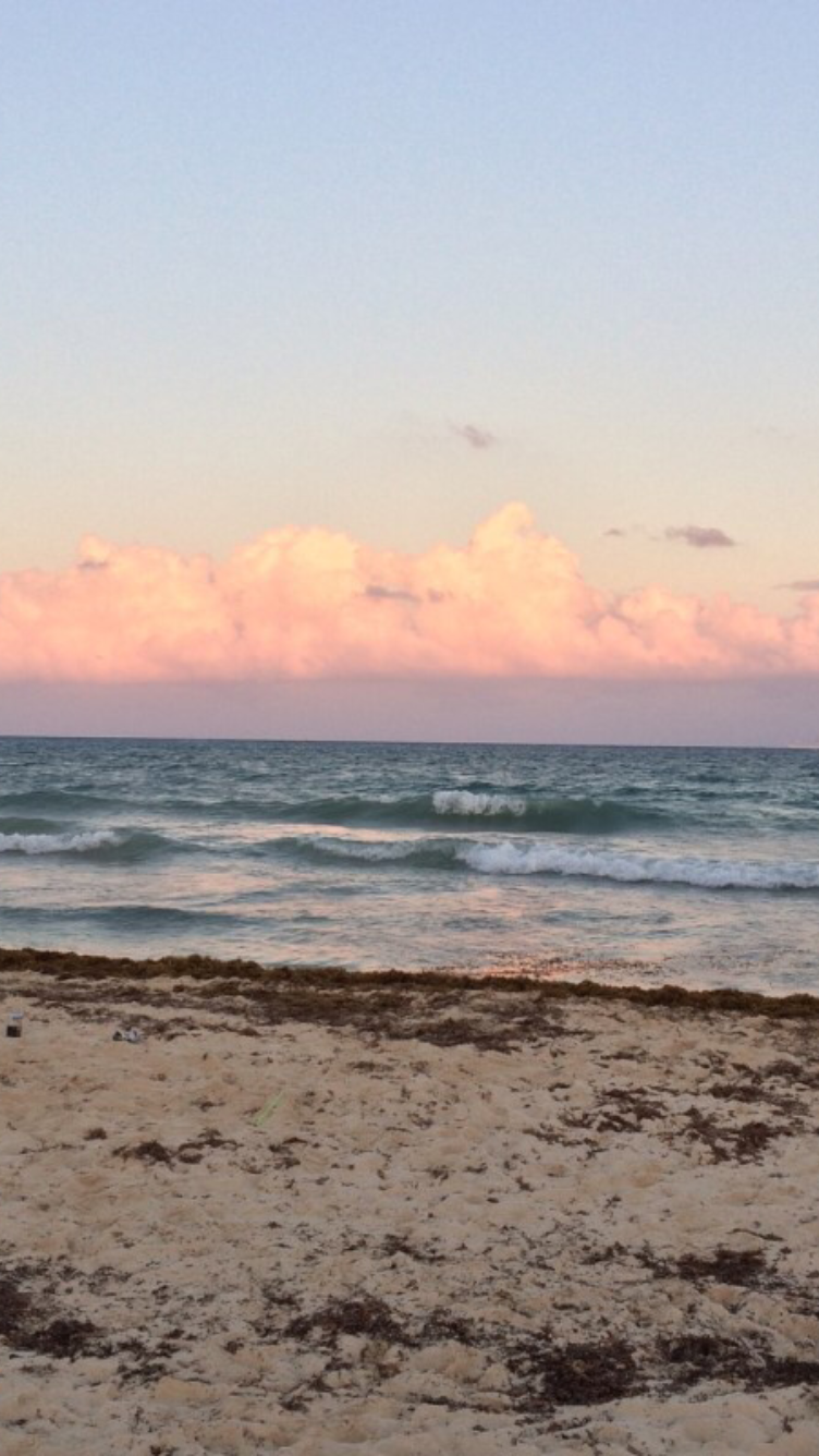 5 , 아이폰 텀블러 배경화면 모음 : 네이버 블로그, image size:752x1336