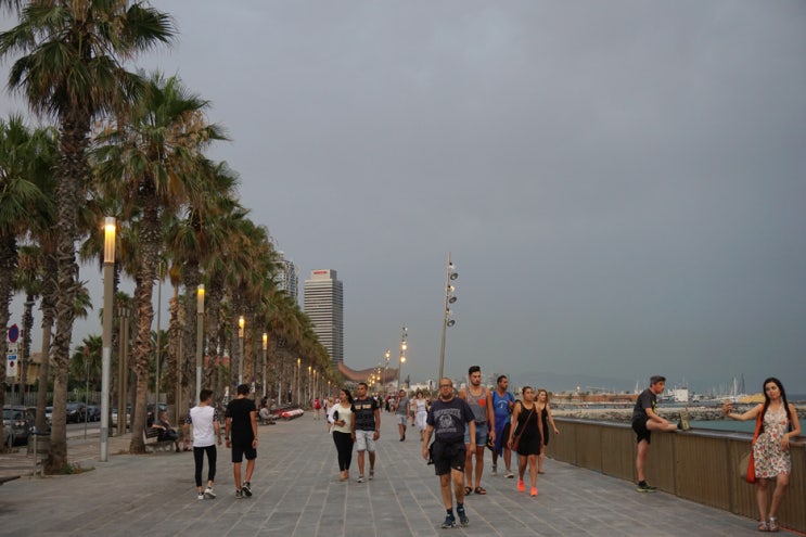 고딕지구 산책, 고딕지구 맛집 VIANA 비아나, 바르셀로네타해변