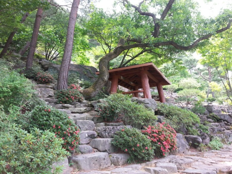 너무 이쁘네요^^ / 대구 가볼만한곳 / 팔공산 가볼만한곳 / 가족나들이 모임 추천 / 대한 수목원 너무 이쁘네요^^ / 대구 가볼만한곳 / 팔공산 가볼만한곳 / 가족나들이 모임 추천 / 대한 수목원