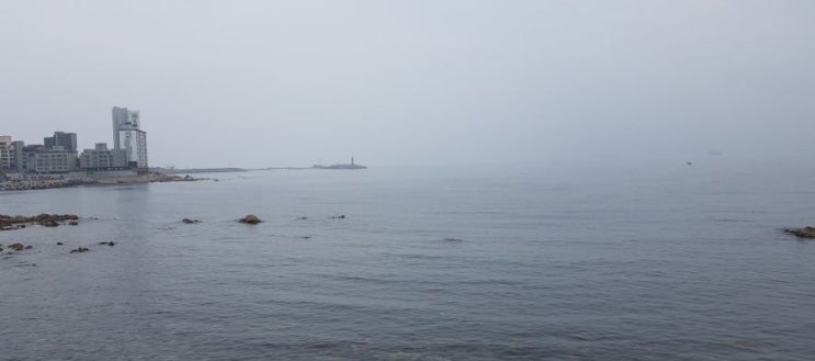  7월 첫째주 주말 동해 바다날씨 낚시물때 분석 조황정보 [포항/경주/울산]