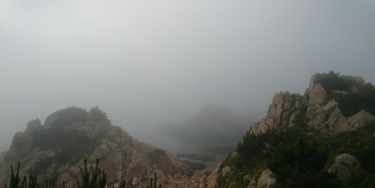 안개숲과 해무 , 하늘과 바다의 경계가 허물어진 공간 안개숲과 해무 , 하늘과 바다의 경계가 허물어진 공간
