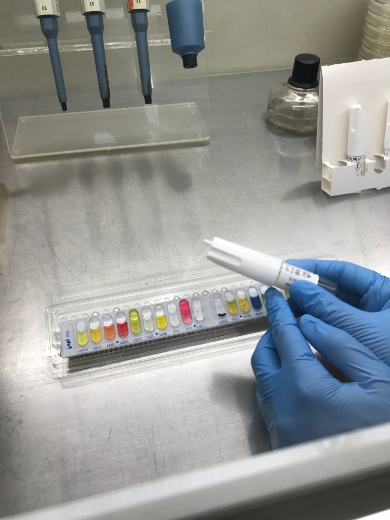 미생물 확인시험/생화학실험 API kit : 네이버 블로그