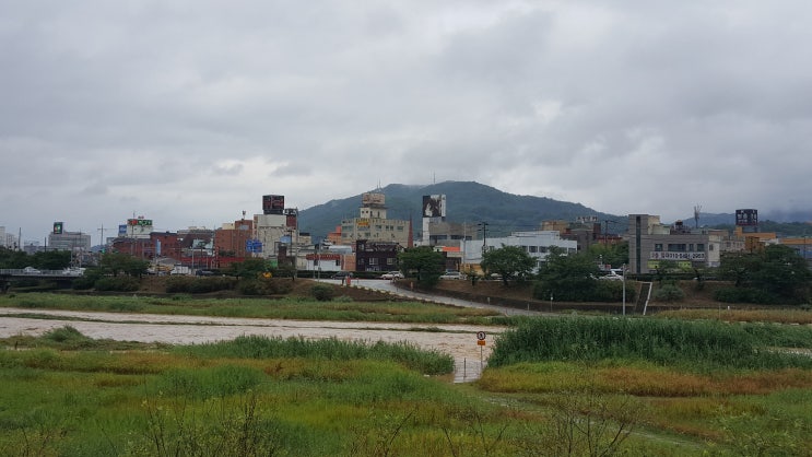 충청지역 호우특보 <b>무심천 하상도로 통제</b>