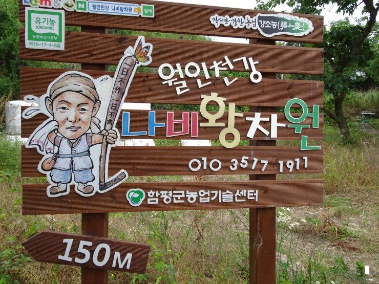  월인천강나비황차원--효천스님