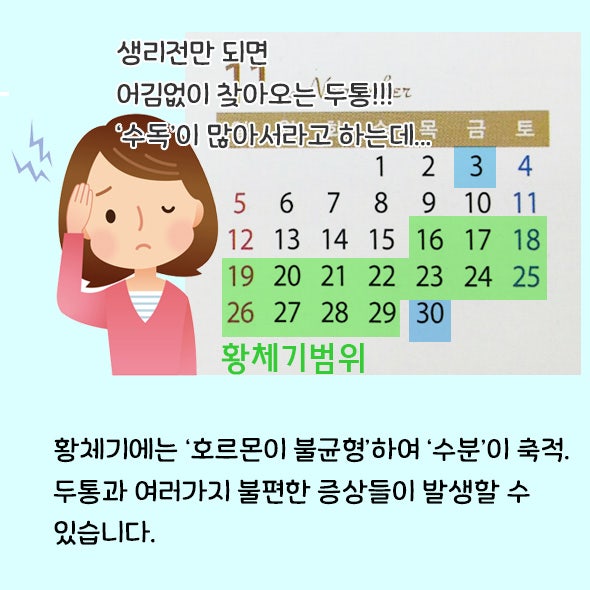 월경전 증후군 증상 치료 및 완화 방법 및 좋은 음식 (독일 PM)