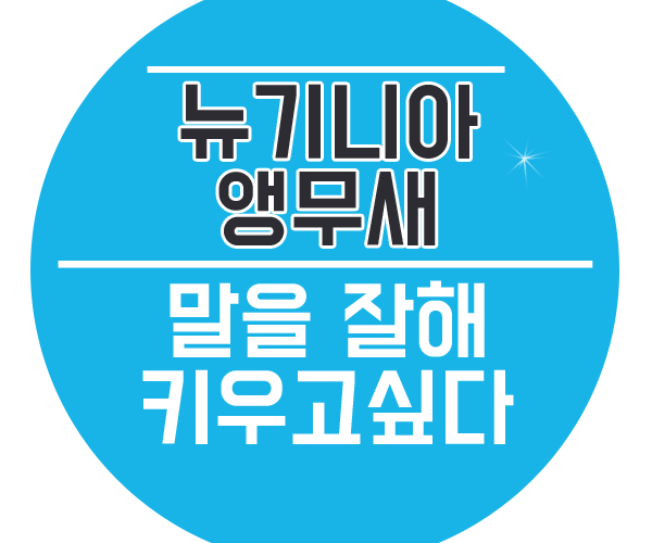  뉴기니아앵무새 반려조를 알고 있나요?