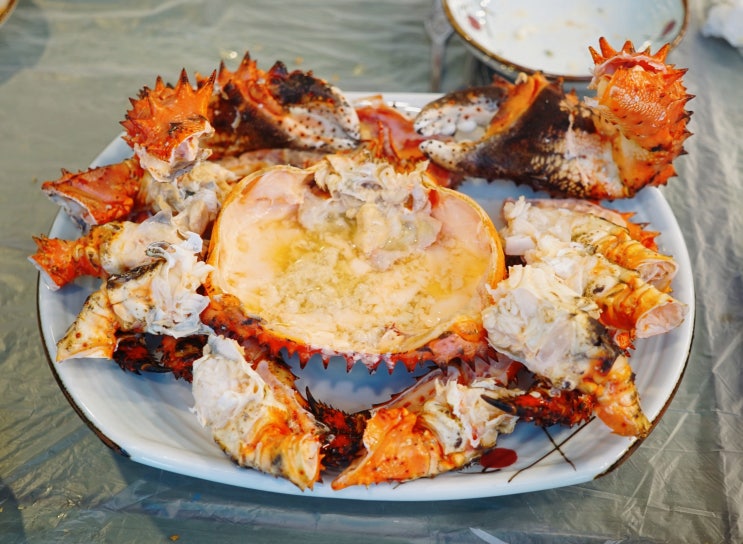  쏠비치맛집추천 양양 놀자대게 푸짐해~~