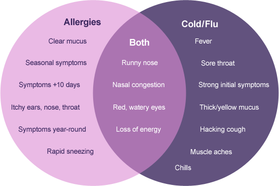 알레르기 비염 vs 감기 (allergic rhinitis vs common cold) : 네이버 블로그