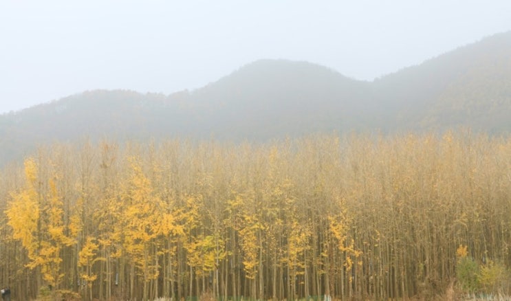 도리마을_운곡서원 도리마을_운곡서원