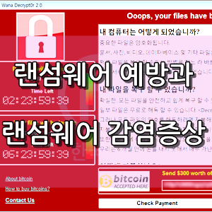 랜섬웨어 예방 방법(랜섬웨어 확인, 랜섬웨어 패치)