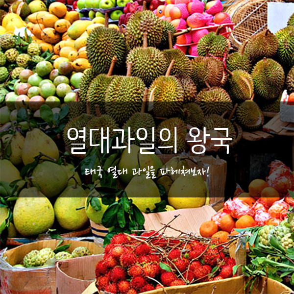  [태국 생활정보] 태국의 열대과일을 파헤쳐보자! 3탄 새로운걸 원해! 신기방기한 열대과일 (타마린드, 카론다, 산톨, 살라크)