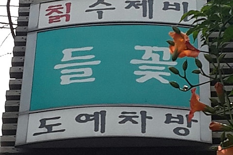 들꽃칡수제비 이미지
