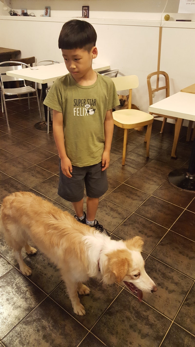 커염둥이 라쿤 짤.jpg - 😄유머 - 침하하, image size:800x1422