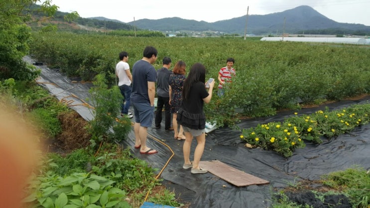  촌놈고영창 팀들 지푸아로니아농장 방문