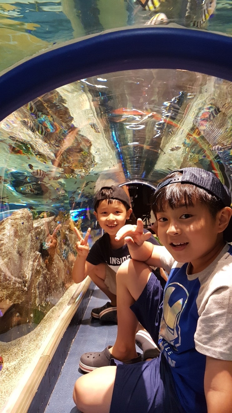  제2롯데 아쿠아리움 할인 밎 관람 후기~