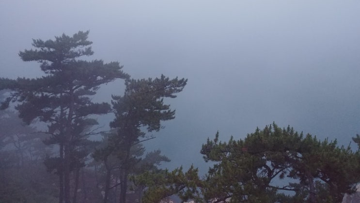 안개에 잠긴 동해 대왕암공원 풍경과 방어진 슬도 풍경 안개에 잠긴 동해 대왕암공원 풍경과 방어진 슬도 풍경