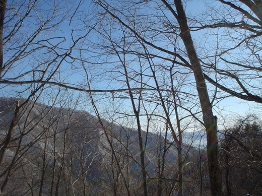 동녘골 사진 4