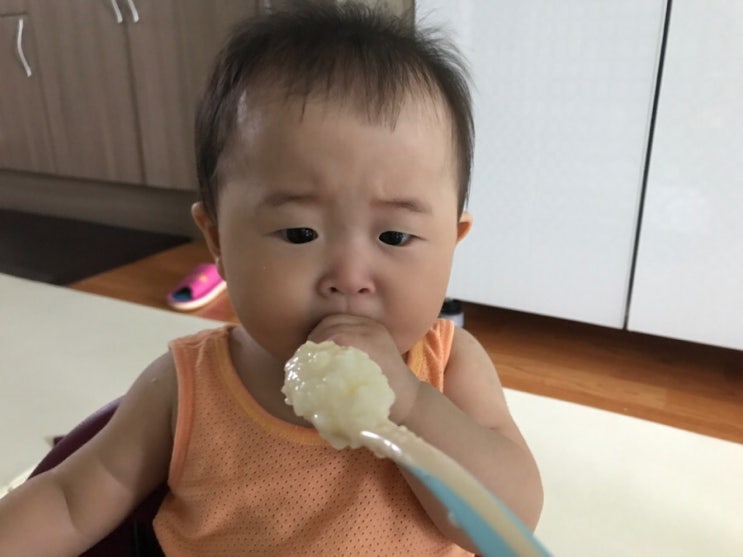  +259, 이보다 더 좋을 수 없다.