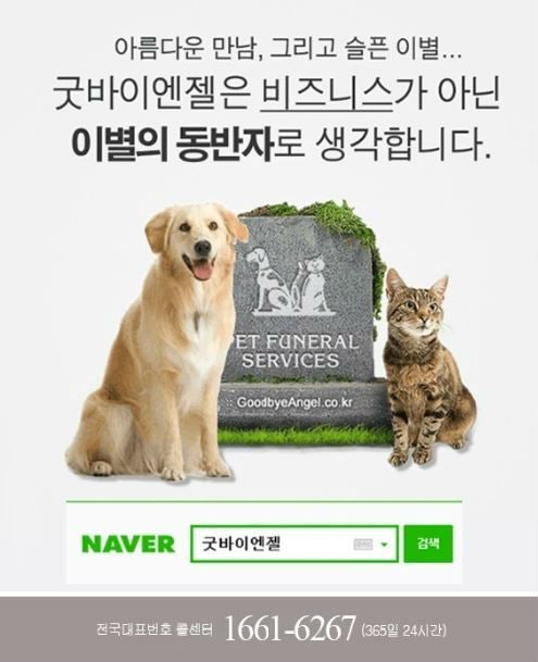 강아지가 죽으면 쓰레기봉투에 버려야 한다? 동물사체처리 방법 : 네이버 블로그 강아지가 죽으면 쓰레기봉투에 버려야 한다? 동물사체처리 방법 : 네이버 블로그