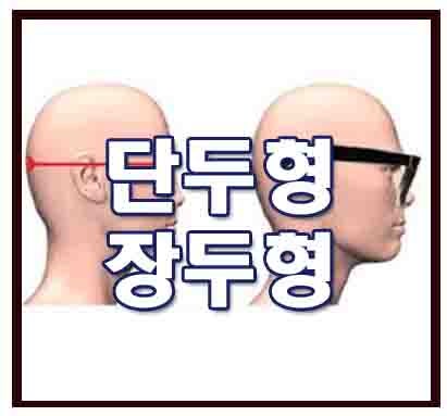 단두형 장두형 미남 미녀들