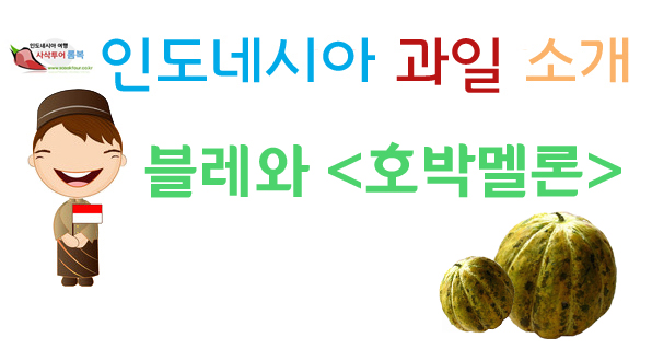  롬복여행 - 열대과일 소개 블레와 호박멜론