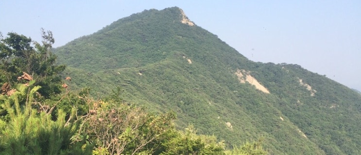  상속 파산제도를 아시나요? [부천 변호사][부천 이혼변호사][전성주 법률사무소]