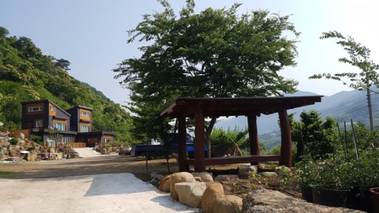  6월 산청 자락애펜션에서는 매실을 수확했습니다