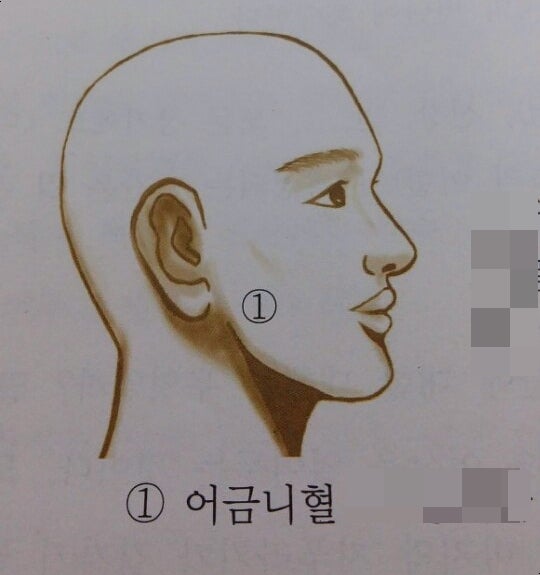 내 몸의 어혈제거와 혈액순환장애(31) - 어금니혈(잇몸혈)사혈 : 네이버 블로그