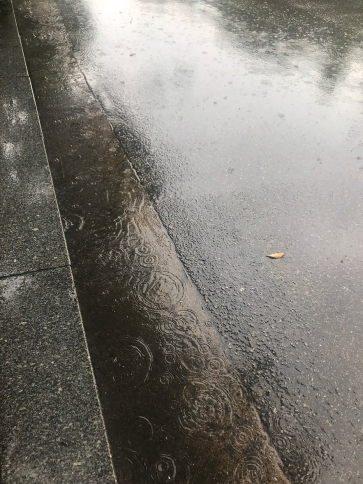Rainy Day Rainy Day