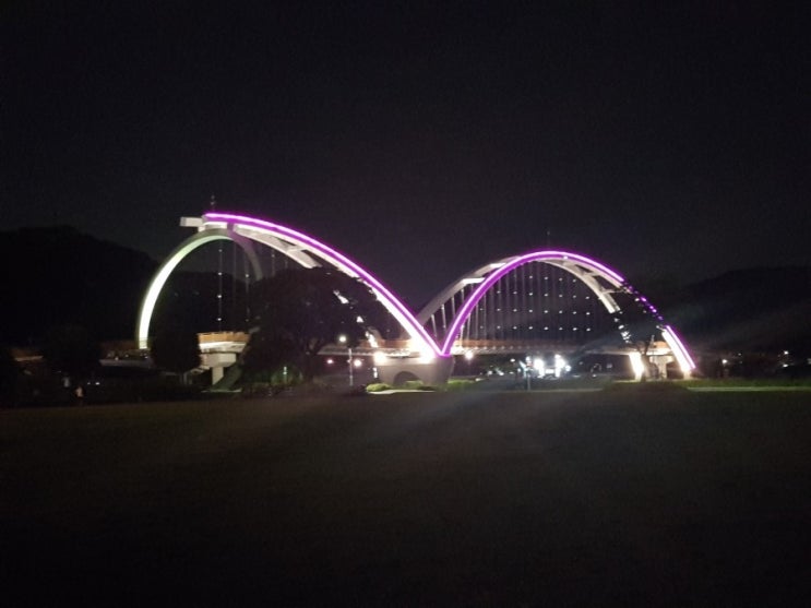  울산의 명소 십리대밭교 야경을 구경했어요