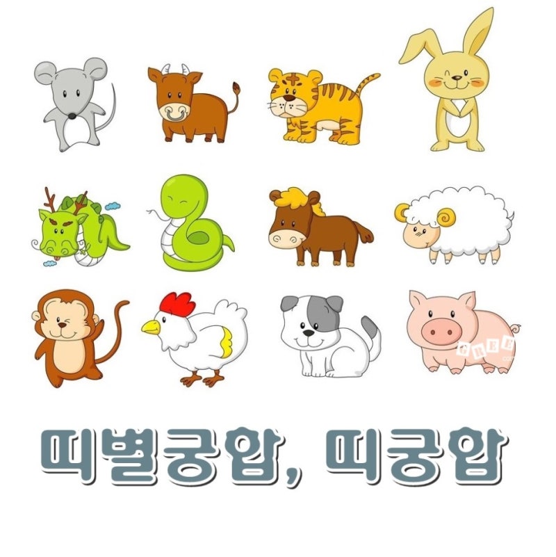 띠별궁합, 띠궁합 한 눈에 보기 쉽게 총정리! : 네이버 블로그