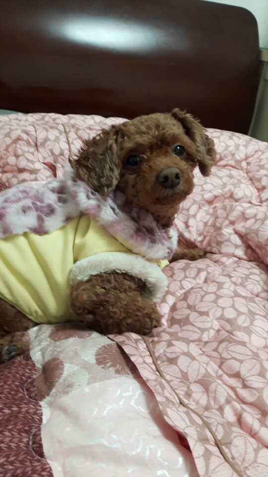  이뿌니  바다ㅎㅎ