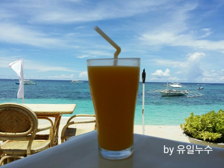  필리핀 지진으로 인한 보홀 상황은 이렇네요