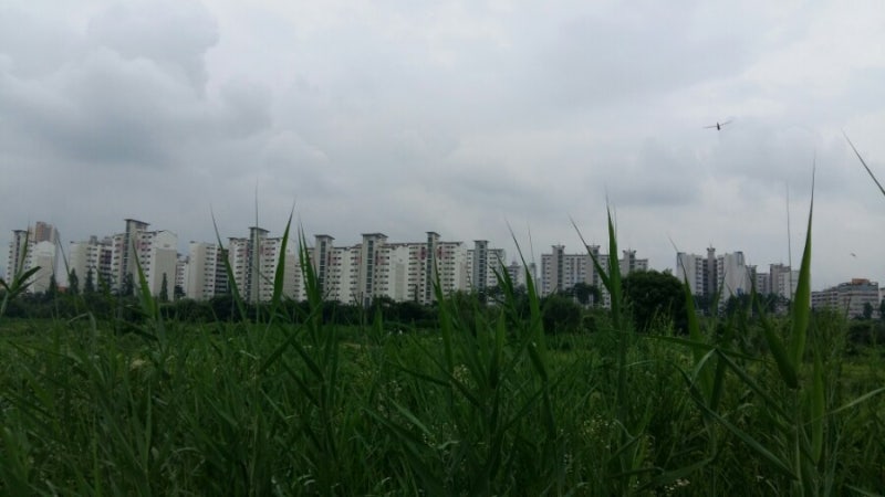 집합건물의 소유 및 관리에 관한 법률 : 네이버 블로그 집합건물의 소유 및 관리에 관한 법률 : 네이버 블로그