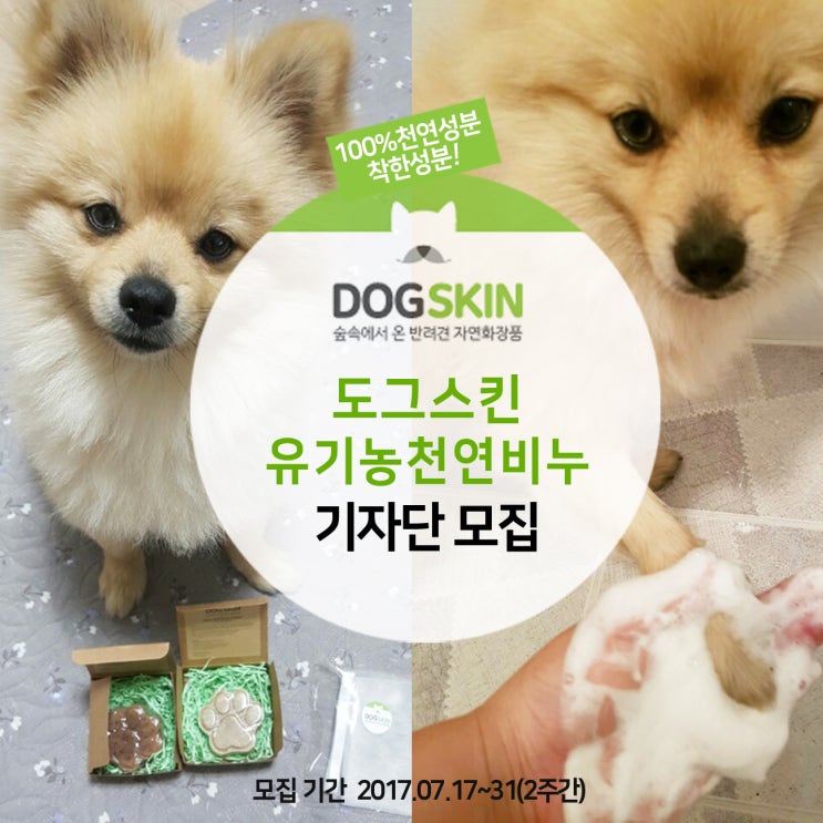  [도그스킨 기자단모집] 강아지천연비누 3종, 아이존케어워터