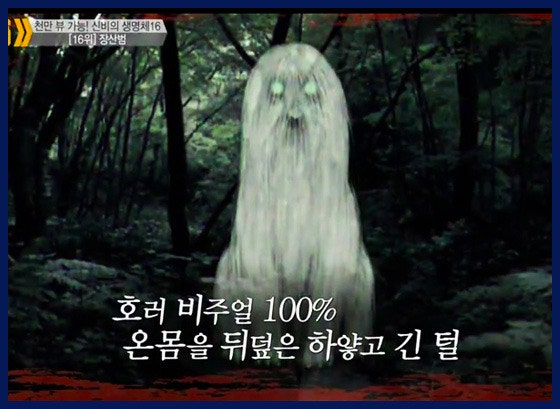 궁금해서 이미지랑 영상들을 검색해봤어요 영화 