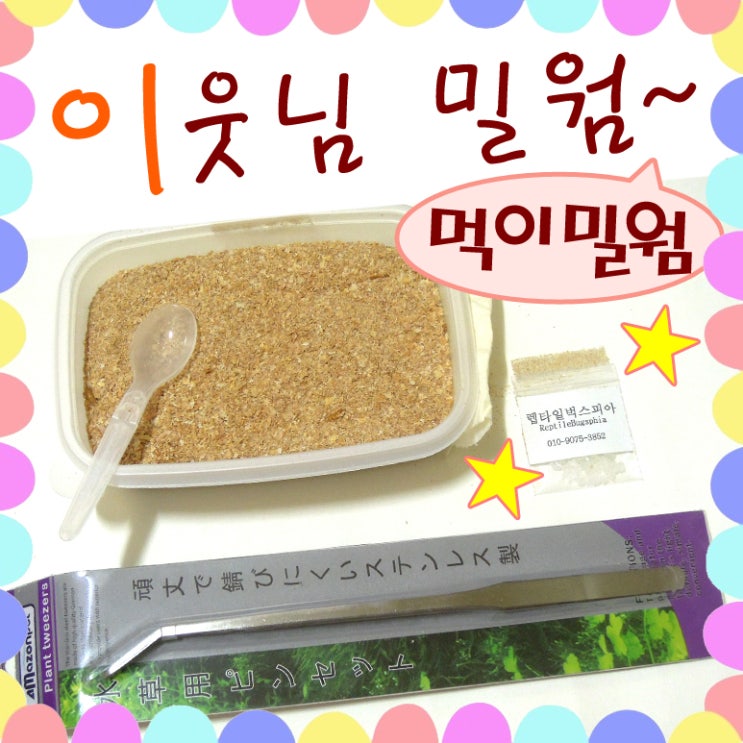  밀웜 먹이 이웃님이 키운 렙타일벅스피아 후기!