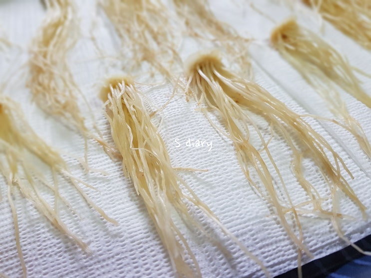 대파 손질시 파뿌리 버리지 마세요~ 대파 손질과 보관 방법