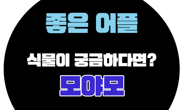  요새 무슨 어플 쓰세요? 좋은 어플 있으면 소개해주세요. '모야모'